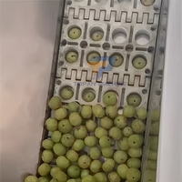 Volautomatische Verse Pitting Olijf Pit Verwijderen Dadelpalm Cherry Longan Perzik Pitter Machine