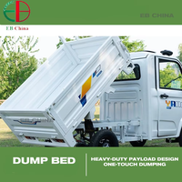 Camionnette électrique compacte à quatre roues motrices, moteur brushless haute performance 1000W, conduite à gauche, autonomie 401-500km, usage intensif, vente en gros