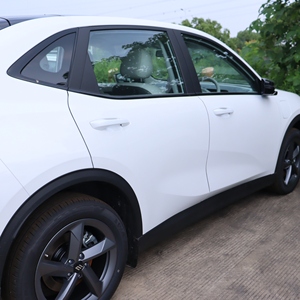 <span class=keywords><strong>Voiture</strong></span> électrique JMEV EWIND RHD avec filtre PM2.5 et cabine saine à ions négatifs - Product Image 4