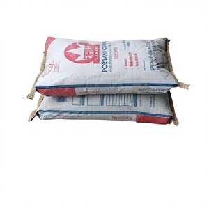 Price Portland Cement 42.5N/R for export - Product Image 1