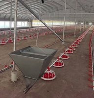 Nouveau Système d'élevage au sol entièrement automatique pour poulets de chair avec alimentation par paniers suspendus et ligne d'abreuvement par pipettes, équipement complet pour ferme avicole