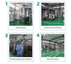 100% 天然果物と野菜の粉末有機フリーズドライフルーツパウダー - Product Image 6