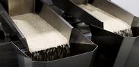 Machine d'emballage automatique à pesée linéaire à 2 têtes pour farine, machine d'emballage de poudre de maïs et de sel de 1 kg