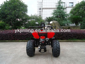 Chino 200cc 250cc <span class=keywords><strong>atv</strong></span> <span class=keywords><strong>shineray</strong></span> - Product Image 3