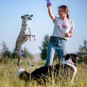 Free sample <b>Dog</b> Treat Bags <b>Pouch</b> Leash Attachment Small <b>Dog</b> Treat Dispenser Bag With Poop Bag Holder Pet <b>Training</b> <b>Pouch</b> Clicker - Product Image 3