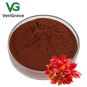 En çok satan saf <span class=keywords><strong>Rhodiola</strong></span> <span class=keywords><strong>Rosea</strong></span> özü tozu <span class=keywords><strong>Rhodiola</strong></span> <span class=keywords><strong>Rosea</strong></span> özü 3% Rosavin 1% <span class=keywords><strong>Salidroside</strong></span> - Product Image 2