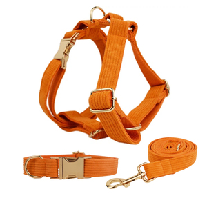Collier et laisse pour chien en velours côtelé, design classique PUPE, accessoires pour chiot, harnais de promenade, ensemble personnalisable avec logo, vente en gros - Product Image 5