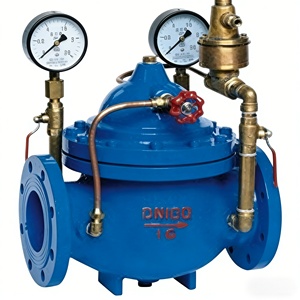 Régulateur de débit d'eau manuel à dérivation différentielle 800X, commande hydraulique de type à bride - Product Image 2