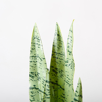 Plante bonsaï artificielle serpent de 56CM