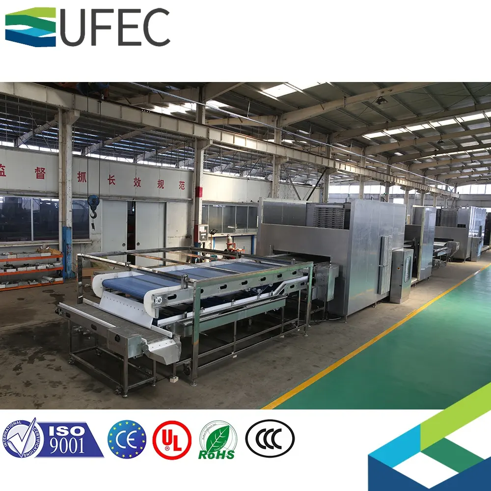 Ligne automatique de traitement des fruits et légumes congelés iqf 5 T/h congélateur tunnel congélateur industriel instantané iqf