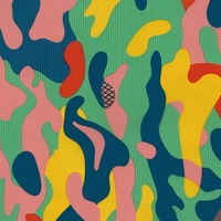 Film de transfert à l'eau camouflage multicolore vibrant, motif audacieux et ludique pour tentes et accessoires de sac à dos, fabrication soignée et cohérente