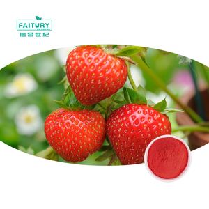 Groothandel Biologisch Aardbeienfruitpoeder Gevriesdroogd Aardbeipoeder In Bulk - Product Image 1