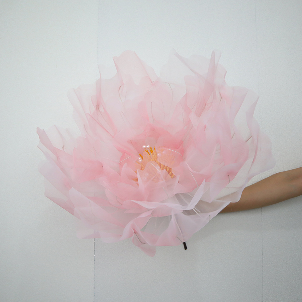 Pink flower head