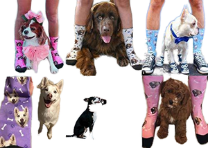 अजीब कुत्ते बिल्ली पशु pअप फेस फोटो मुद्रित मोजे कस्टम अपने स्वयं के पाठ लोगो नवीनता उपहार चित्र कवक पागल प्रेमी मोजे - Product Image 6