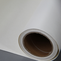 320gsm Mat Galerie Artiste Pigment Papier Rouleau Imprimable Jet D'encre Polycoton Toile