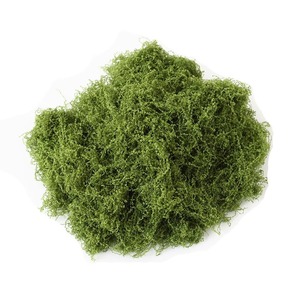 Musgo Artificial Timo de 10 cm o Menos, Flores de Nailon para Decoración de Micropaisajes - Product Image 4