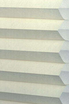 โปร่งแสง1