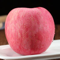 Nieuwe oogst Chinese verse rode Fuji appels, verse Royal Gala en Red Delicious appels. Verse prijs voor groothandel.