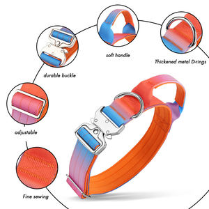 Bestseller Langlebiges Taktisches Hundehalsband aus Nylonband Modisches Hundehalsband für Mittelgroße und Große Hunde <span class=keywords><strong>Training</strong></span> - Product Image 4