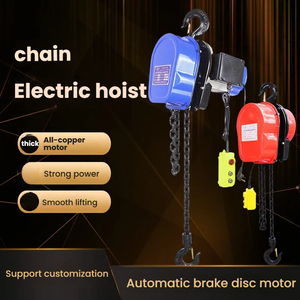 Polipasto de cadena eléctrico de acero inoxidable de alta calidad, bloque de cadena, polea eléctrica, polipasto Manual - Product Image 6
