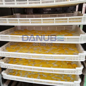 Reliable Quality Hot air Vegetable Dryer Machine for Potato Chips Sliced Potato Drying Machine - Product Image 3