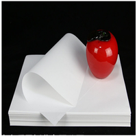 Papier Bible vierge A4 28g