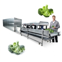 Machine à laver et à peler les pommes de terre, type brosse, pour le lavage et l'épluchage du gingembre, destinée à la transformation des fruits et légumes