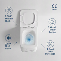 Ensemble de toilettes en céramique à chasse d'eau super puissante, sanitaires de luxe, toilettes murales encastrées pour salle de bain, vente en gros