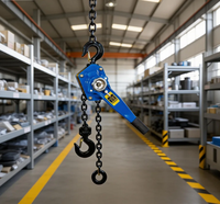 Palans à levier manuels série HSH 1,5T-10T avec chaîne G80 pour levage de charges lourdes en construction, grue à poulie