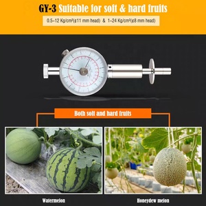 Pointeur de GY-3 Scléromètre de fruits Dureté des fruits Testeur de dureté des fruits Pénétromètre Scléromètre Gamme - Product Image 6