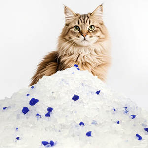 Eco-friendly Pet Limpeza Colorido Sílica Gel Cat Litter Pure <span class=keywords><strong>Silicone</strong></span> Odor Controle Arena Para Gatos - Product Image 1