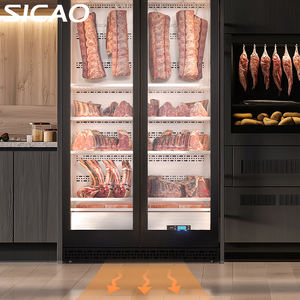 Refroidisseur de viande vieilli sec <span class=keywords><strong>professionnel</strong></span> contrôle précis de la température et de l'humidité 10 tailles disponibles armoire de vieillissement à sec - Product Image 6