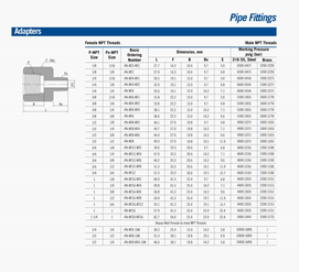 Adattatore Femmina Tipo Swagelok di Alta Qualità, Raccordo per Tubi in Acciaio Inox, Riduttore Femmina X Maschio NPT, Adattatore Maschio Disponibile OEM - Product Image 2