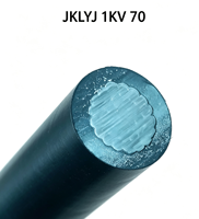 JKLYJ 1kV 70mm2 XLPE-isoliertes Aluminium-Luftkabel