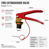 Vannes d'extincteur 1kg 2kg 4kg 5kg 6kg 8kg, Accessoires d'extincteur, Vanne de tête d'extincteur