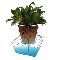 Système d'arrosage automatique pour plantes en pot, capteur d'humidité à aspiration d'eau automatique, pot de fleurs idéal pour la maison, le bureau, le jardin, la cour