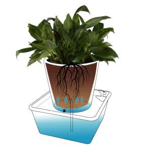 Sistema di Auto-Irrigazione per Piante in Vaso con Sensore di Umidità e Aspirazione Automatica dell'Acqua, Ideale per Casa, Ufficio, Giardino, Cortile - Product Image 6