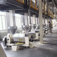 Ligne de production de fabrication sur mesure de machines hydrauliques pour la production d'huile de noix de coco vierge fraîche, fabriquée en Chine par MCRAYONE.