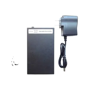 공장 공급 YSD-12980 9800mAh 12 볼트 리튬 이온 폴리머 리튬 12 v 슈퍼 얇은 리튬 이온 배터리 CCTV 카메라