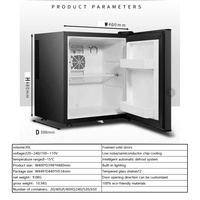Mini-réfrigérateur compact 30L pour hôtel, OEM/ODM petit volume, idéal pour la chambre et le maquillage