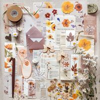Ensemble de papiers vintage pour scrapbooking avec fleurs pressées, pack d'égéreries botaniques, plantes et motifs floraux pour journalisation et scrapbooking décoratif