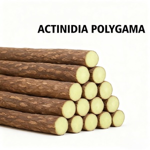 Jouet pour chat en vigne d'argent (Actinidia Polygama) à mâcher, fourni directement par l'usine – Les chats préfèrent les bâtonnets de vigne d'argent - Product Image 6