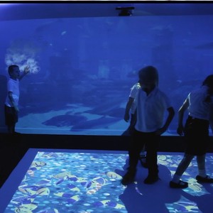 Proyector de pared de sistema de holograma interactivo con software de experiencia inmersiva de vídeo con pantalla táctil personalizada - Product Image 6