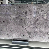 Marbre gris panda naturel |   Aggrégat gris moucheté imperméable et écologique pour les intérieurs industriels modernes, salles de bain et cuisines