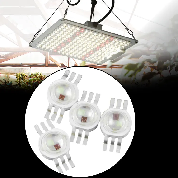 Chip Epistar UV 460nm 520nm 660nm 1W 3 W 5W LED Đèn Led Công Suất Cao 3 W 3 W