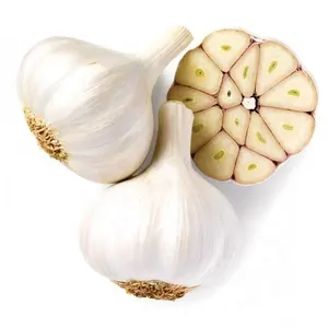 Low Price Fresh Garlic White Purple Crop Fresh Pure White Garlic Fresh Garlic Exporter Supplier