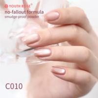 Gel UV Effet Œil de Chat Super Brillant 10 Couleurs Youth Rose pour Distributeurs et Grossistes – Fournitures pour Salons de Manucure