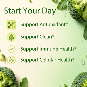 Cápsulas de Extracto de Brocoli en Venta al por Mayor OEM/ODM, Sulforafano, Apoyo al Bienestar Diario, Antioxidante, Inmunidad y Nutrición - Product Image 4
