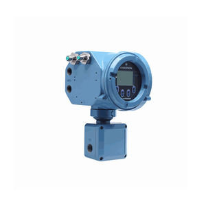 Sonde de mouvement 1 pouce DN25 en acier inoxydable 316L, modèle 5700, à montage sur site - Product Image 3