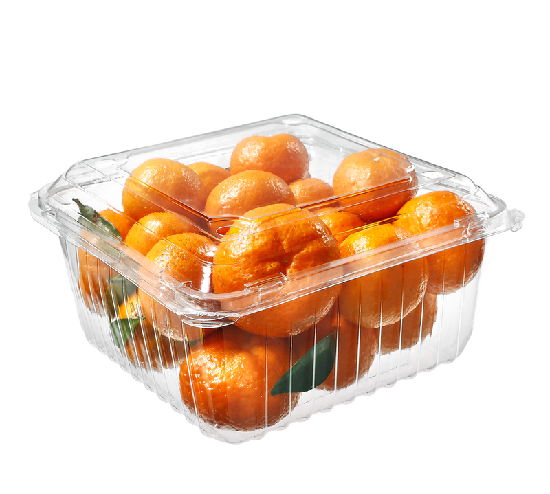 Factory Clear Disposable Hinged Pet Plastic